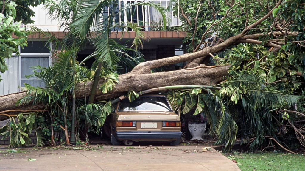 car and a house were damaged - storm damage restoration