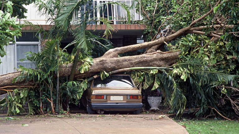 car and a house were damaged - storm damage restoration