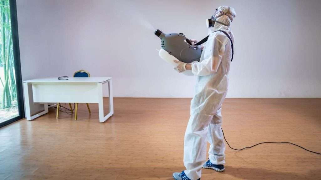 professional services help household with signs of pest infestation