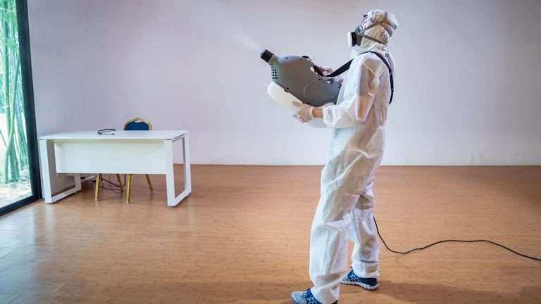 professional services help household with signs of pest infestation