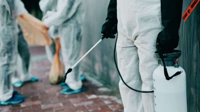 professional decontamination service with disinfection equipment for cleaning the house